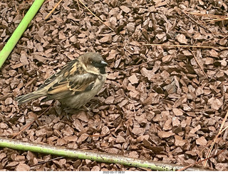 Academy of Music - Philadelphia Ballet - Swan Lake