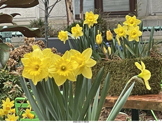 Academy of Music - Philadelphia Ballet - Swan Lake set