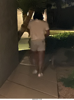 Anthony and cats in the dark