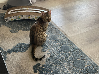 Anthony and cat Pickle