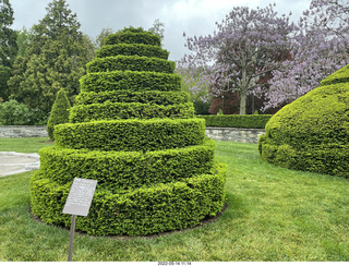 Longwood Gardens topiary
