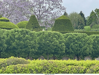 Longwood Gardens topiary