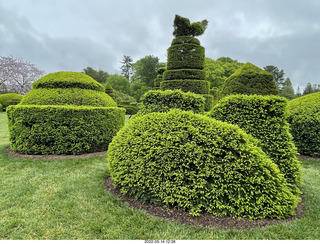 Longwood Gardens topiary