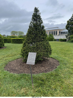 Longwood Gardens topiary