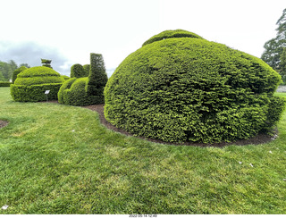 Longwood Gardens topiary