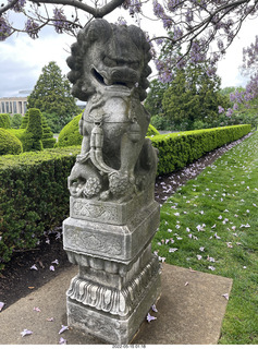 Longwood Gardens topiary lion