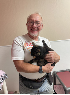 cat Miss Pris from web-page ad