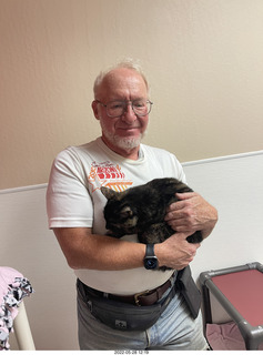 cat Miss Pris from web-page ad