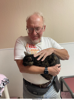 cat Miss Pris from web-page ad