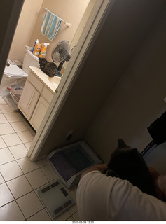 door open with cat Miss Pris in the bathroom