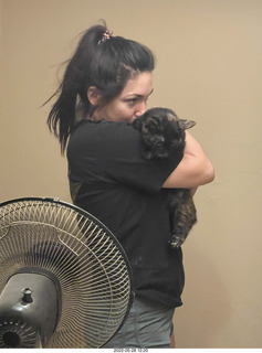 cat Miss Pris in my bathroom sink