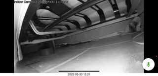 bowl of food for Miss Pris