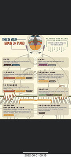 THIS IS YOUR BRAIN ON PIANO meme from Facebook