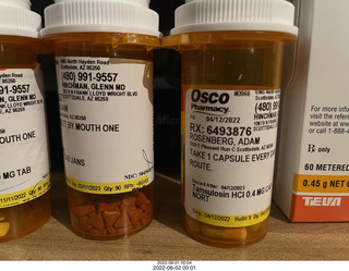 cats Devin and Pickle