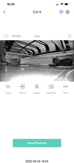 Miss Pris under my sofa