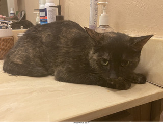 Miss Pris in the middle bathroom