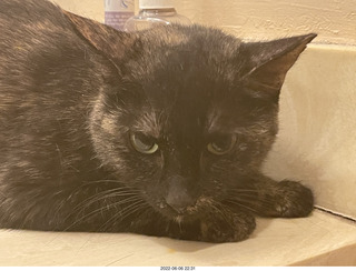 Miss Pris in the middle bathroom