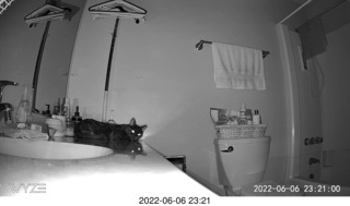 Miss Pris in the middle bathroom