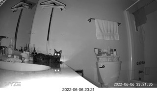 Miss Pris in the middle bathroom