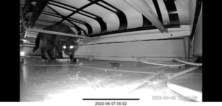 Miss Pris in the middle bathroom