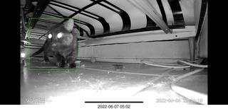 Miss Pris in the middle bathroom + Adam