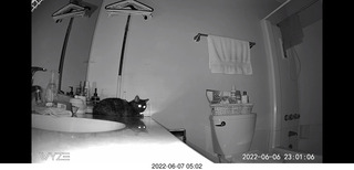 Miss Pris in the middle bathroom