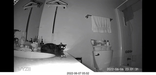 Miss Pris in the middle bathroom