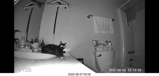 older picture of Miss Pris under the sofa