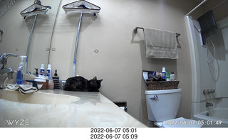 older picture of Miss Pris under the sofa