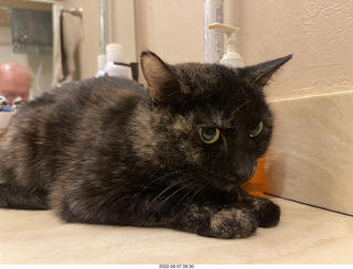 Miss Pris in the middle bathroom