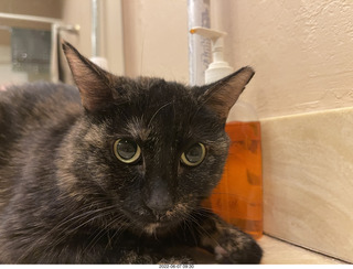 Miss Pris in the middle bathroom