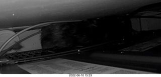 my cat Miss Pris atop the refrigerator