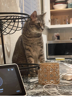 Facebook - Couch Potato 0.00010 K