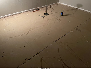 Miss Pris in my upstairs middle bathroom + Adam