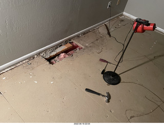 Miss Pris in my upstairs middle bathroom + Adam