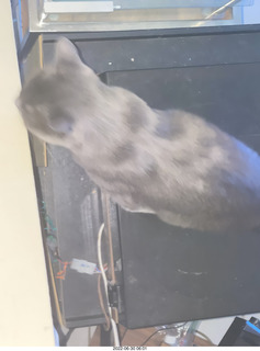 my hifi and my cat Jane from above