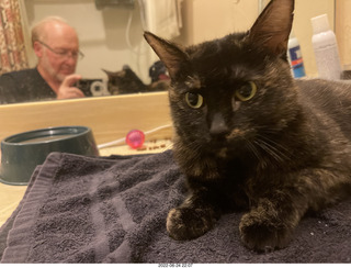 my cat Miss Pris