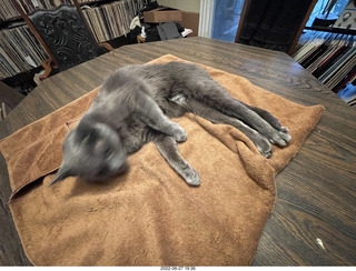 my hifi and my cat Jane from above