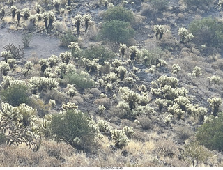 Flagstaff - Brandy's restaurant - panda blowing bubbles