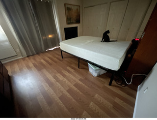 home construction done - master bedroom + my cat Devin