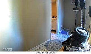 my cat Miss Pris in her safe space