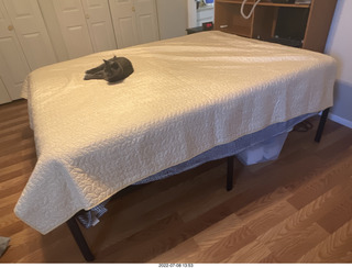 home construction done - master bedroom + my cat Devin