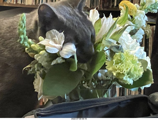 floral arrangement on my table + my cat Jane
