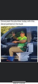 cat Pickle - she's growing up beautiful