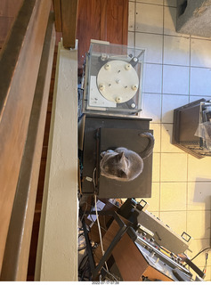 cat Jane and turntables from above