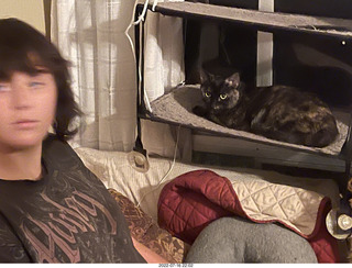 my cat Miss Pris in the hifi room