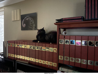 my cat Miss Pris atop my reel tapes