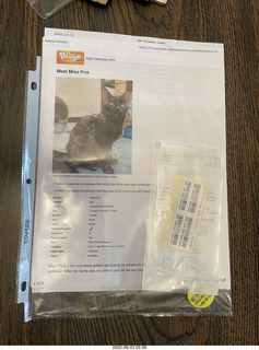 my cat Miss Pris atop my reel tapes