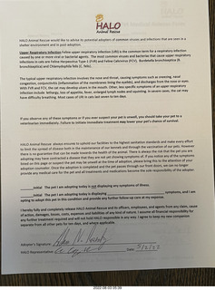 my cat Miss Pris atop my reel tapes