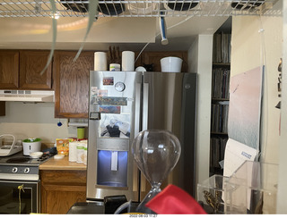 my cat Miss Pris atop the 'fridge